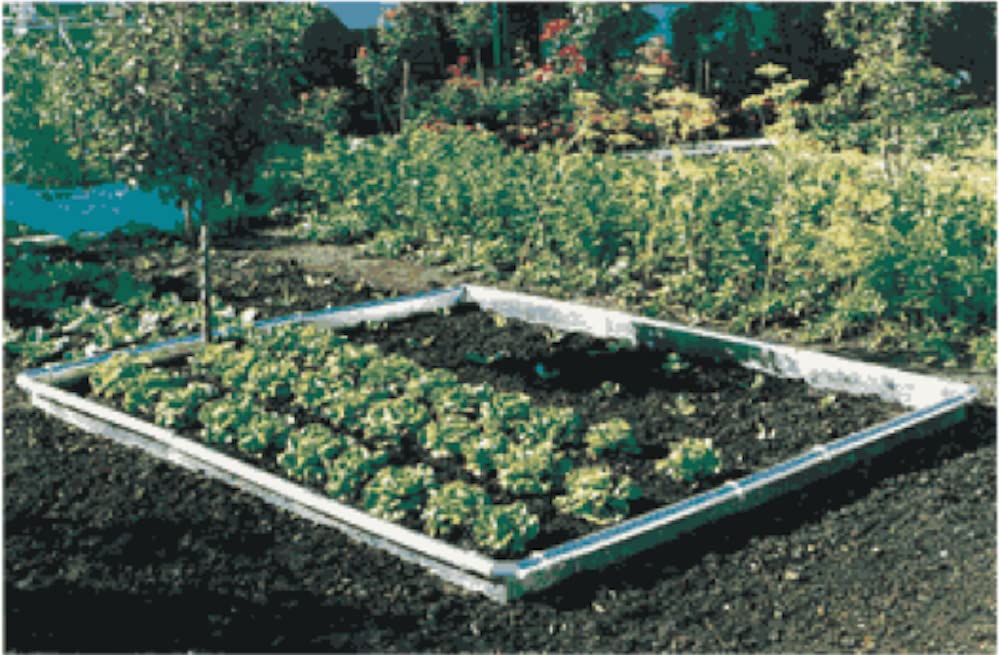Serafin Arion Schneckenzaun STARTERSET | Schutz vor Schnecken | Schneckenabwehr Metall | Schneckenschutz giftfrei | Gartenbeet & Gemüsebeet | Der Zaun mit den Zacken