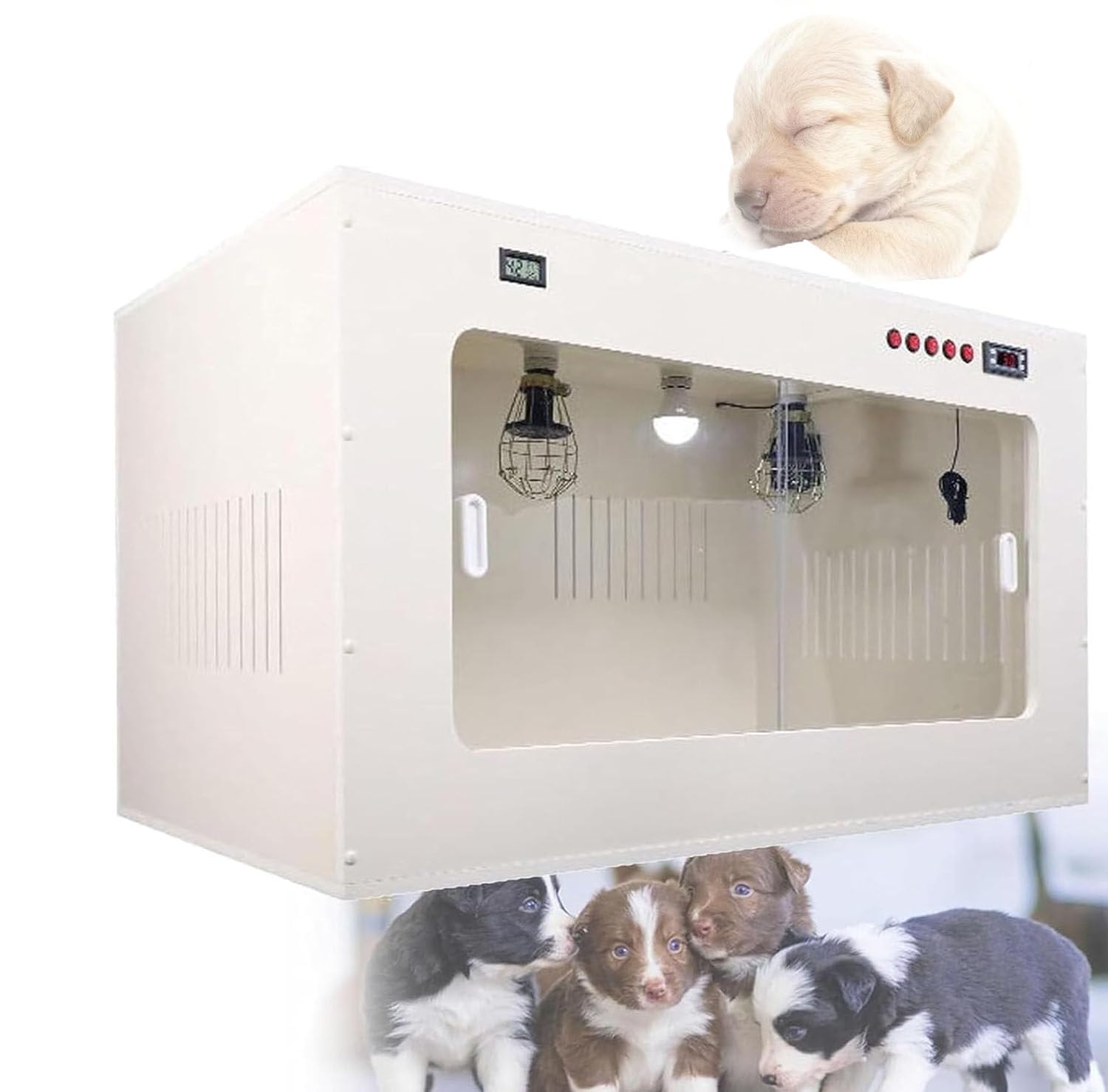 Incubadoras Manuales para Animales Pequeños,Incubadora para Gatos Y Cachorros,Cabina para Cachorros Recién Nacidos,para Pollitos Recién Nacidos,Codornices,Aves 100 * 60 * 60