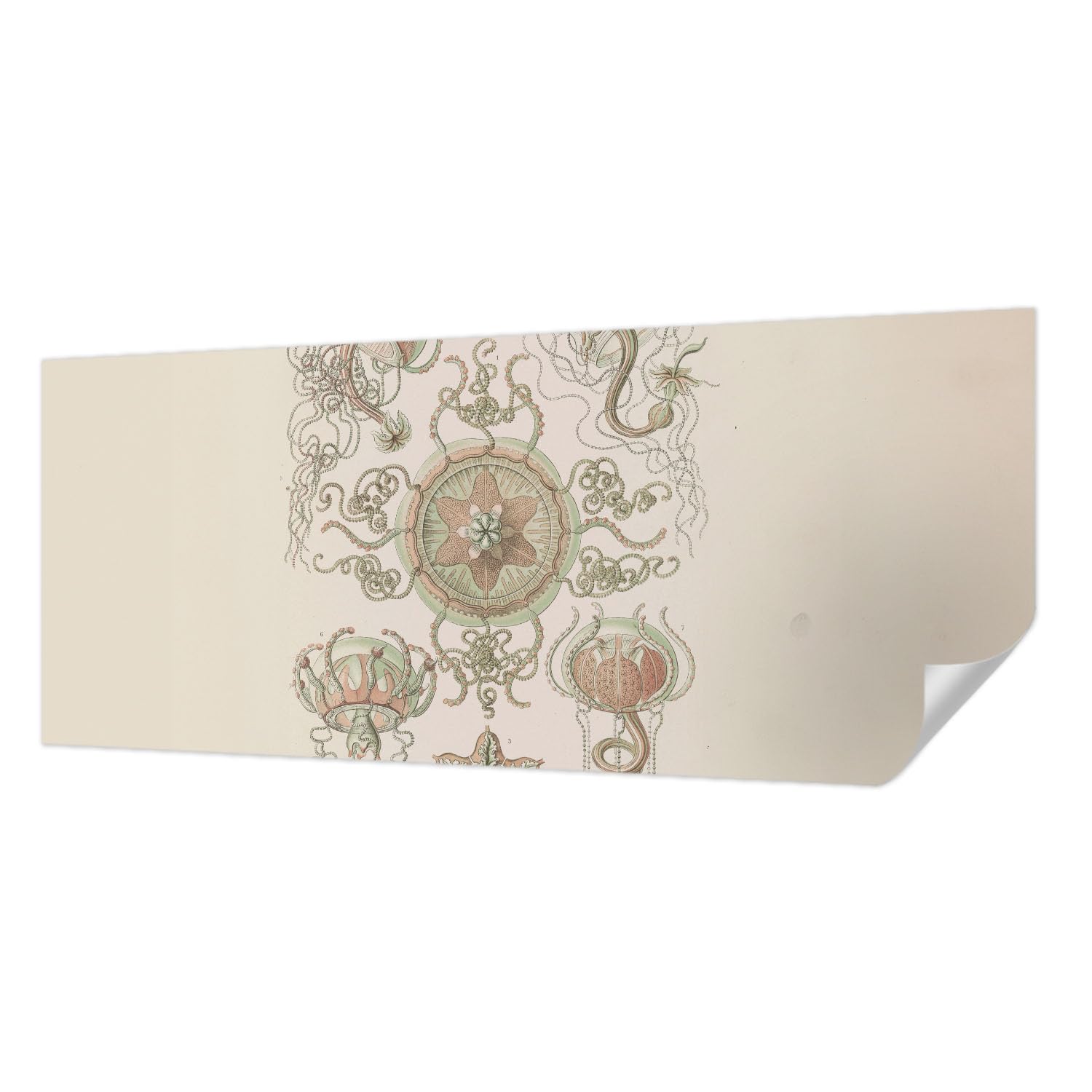 Papier peint autocollant mur 250x104 chambre monde sous-marin résistant