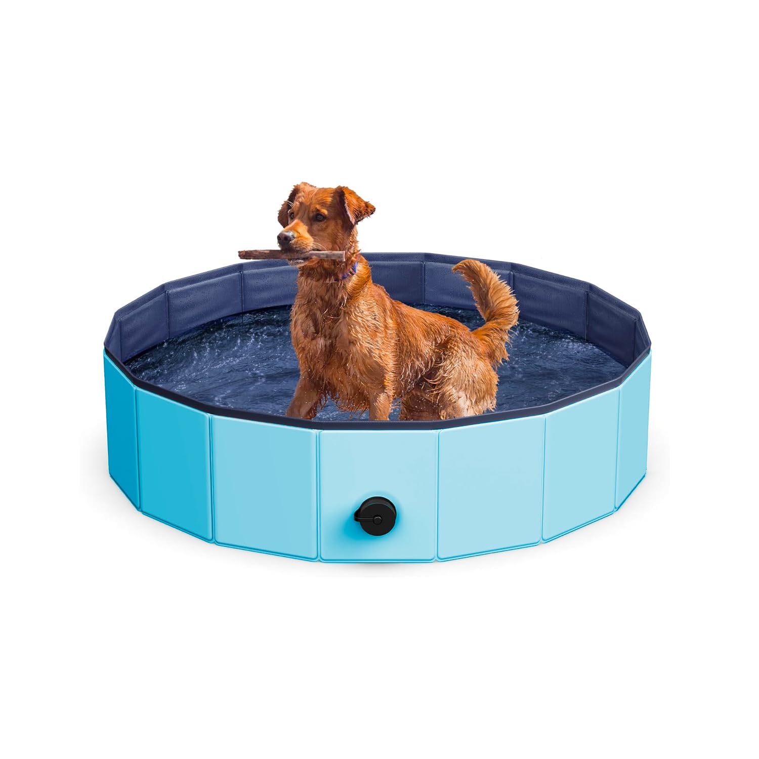 Wintem Piscina per Cani 160x160 cm Rotonda in PVC Resistente, Antiscivolo, Facile da Gonfiare - Ideale per Cani di Taglia Media, Piscina da Giardino per Animali
