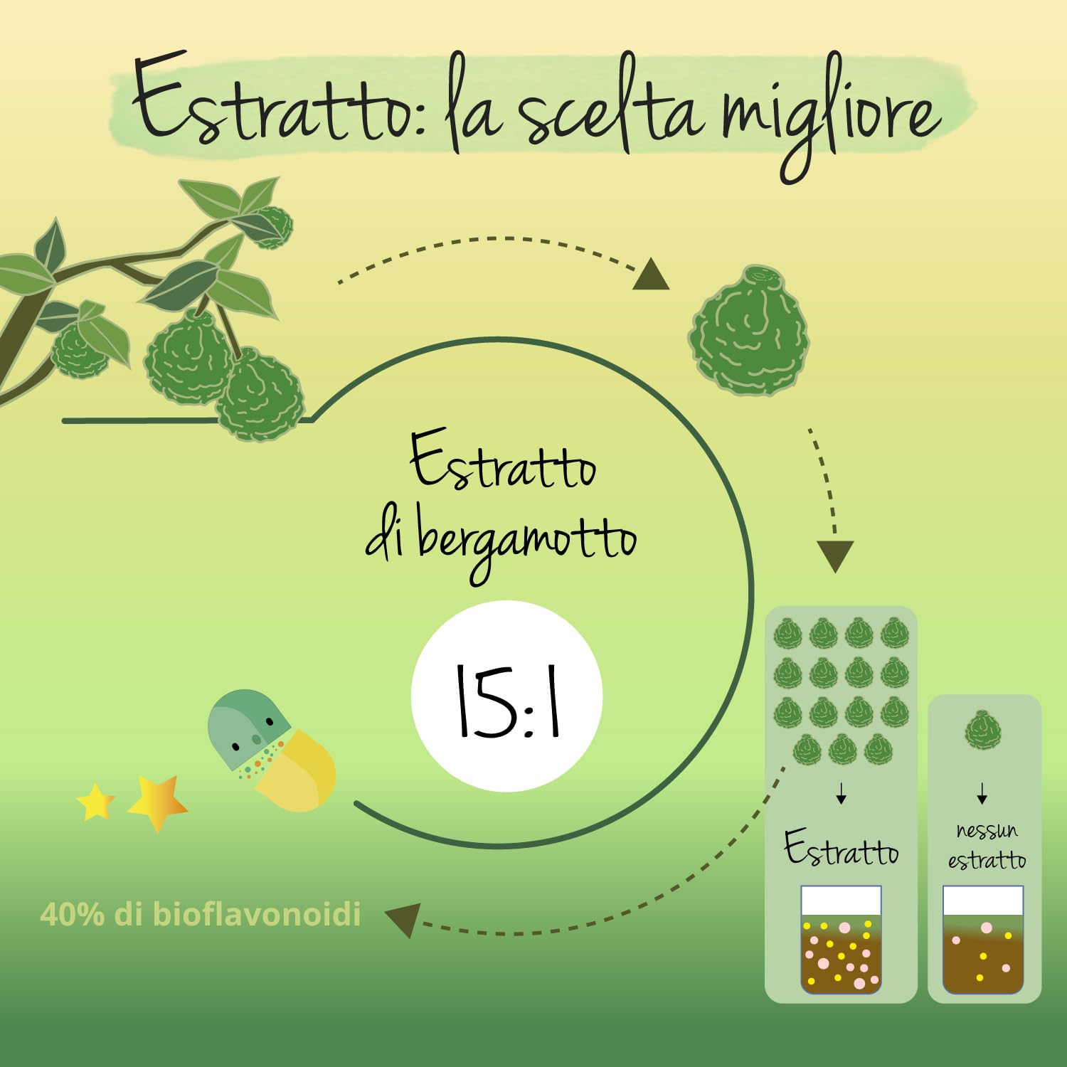 BERGAMOTTO Vegavero® | 1250 mg (15:1) | l’unico con 40% di Bioflavonoidi | Integratore per la Salute Cardiovascolare | Citrus Bergamia | 120 Capsule | Vegan