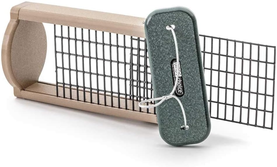 Birds Choice Double Suet Feeder, Holds 2 Suet Cakes| Hanging Suet Bird Feeder with Roof, Woodpeckers, Jays, Nuthatches | Vinyl Coated Grids | Sturdy for Outdoor | Taupe & Green, 8”L x 3”W x 11”H