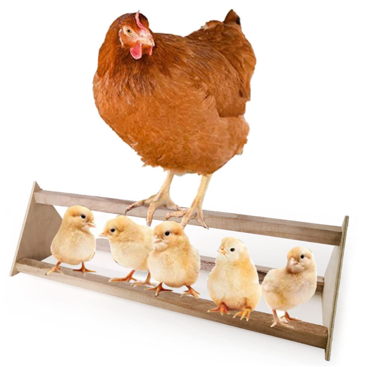 TOYANDONA 2 Pezzi Posatoio per Uccelli in Legno Naturale per Galline Pappagalli Trespolo Stabile Accessorio per Pollame Uccelli Domestici Facile da Usare