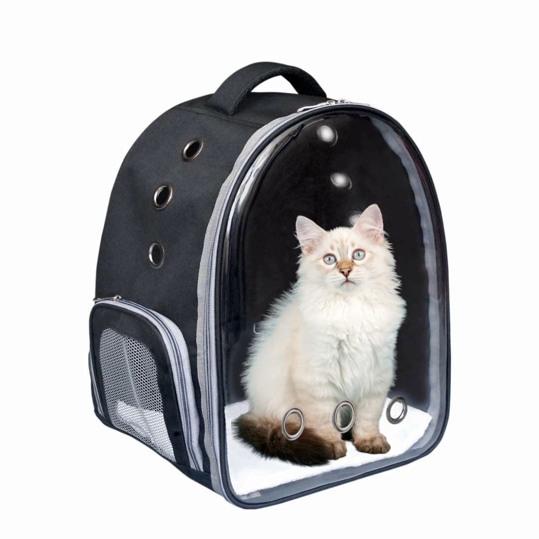 Xigwig Pet Carrier for Cat & Small Dog and Puppy Kitty Transparent and Breathable Airline-Approved Hiking and Outdoor for Puppies & Cats (Black, Transparent) (B09PN8JTLM) Amazon Price History, Amazon Price Tracker