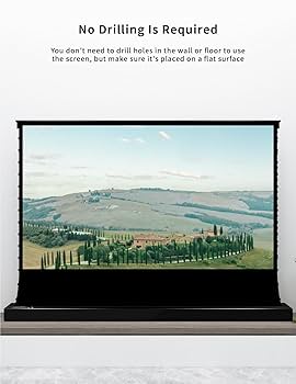 VIVID STORM SINCE 2004 100インチ Amazon.com: Vivid Storm Since 2004-Projection Screen S PRO