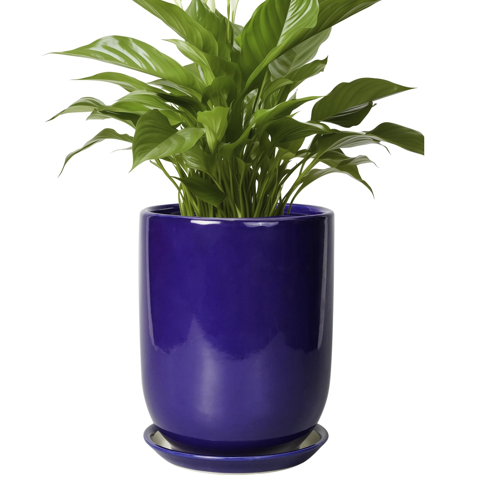 SUNPOTFOR Ceramic Plant Pot - 8 Inch Planter for Indoor Plants Outdoor Flower Pot with Drainage Hole and Saucer Home Patio Office Decor Blue