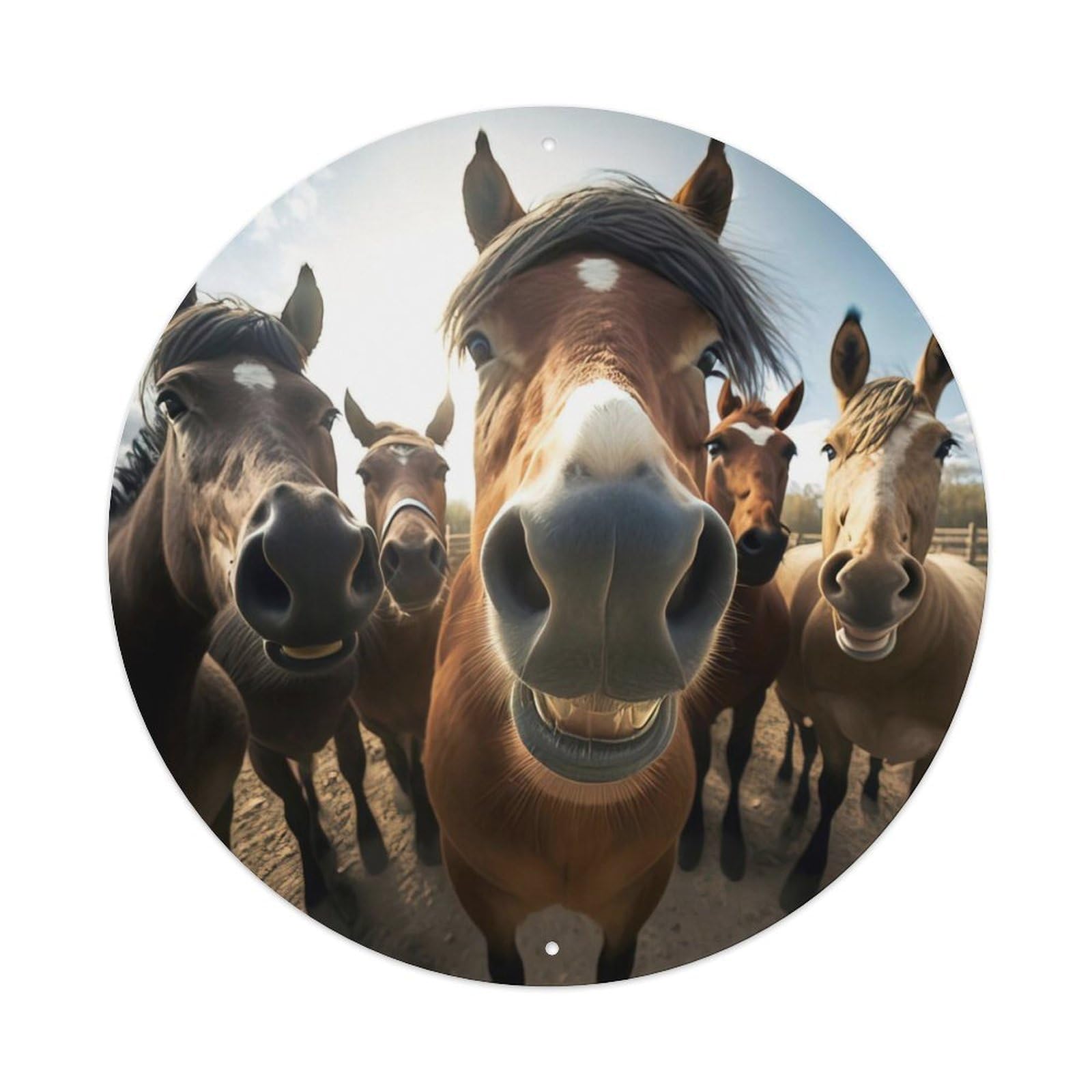 Handsome Horse Family Selfie Animal Vintage Metal Tin Sign Plaque Wall Decor for Cafe, Club, Garden Round Metal Poster 8x8Inch