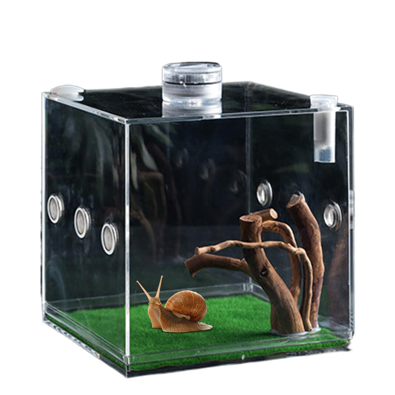 Jumping Spider Enclosure,Clear Reptile Growth Terrarium | Lightweight and Small Animal Breeding Box for Turtles, Beetles, Snails, and Lizards
