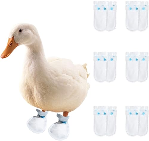 MANON ROSA Zapatos de pato para patos reales, pollos 6 pares, botines impermeables y desechables con vendaje autoadhesivo para heridas de aves