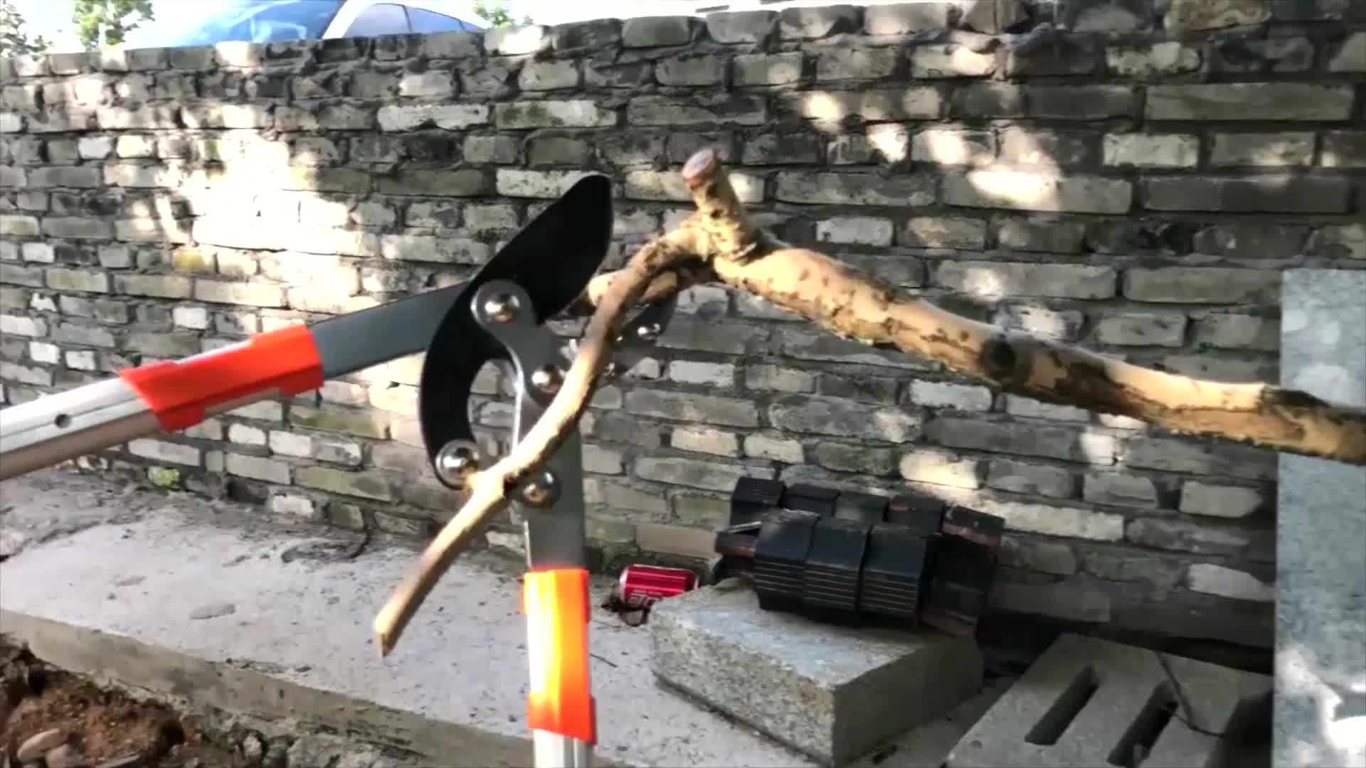 ML Amboss-Astschere mit Teleskopgriff inklusive schnittfesten Handschuhen. Gartenschere für alle Arten von Holz. – Bild 8