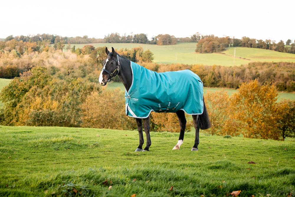 HorsewareIreland Amigo Bravo 12 Wug Turnout Blanket (250g Medium), Storm Green (Aqua/Turquoise Trim), Size: 87