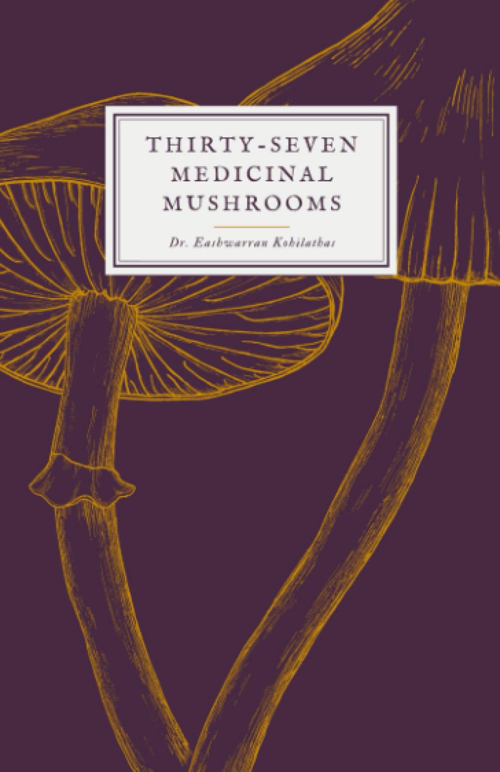 Thirty-Seven Medicinal Mushrooms