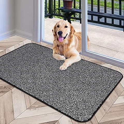 Indoor Door Mat, 20" x 32" Front Door Mat, Non Slip Super Absorbent Welcome Mats Outdoor, Low Profile Dirt Traper Inside Door Mats, Rugs for Entryway, Porch Garage, Patio Cover