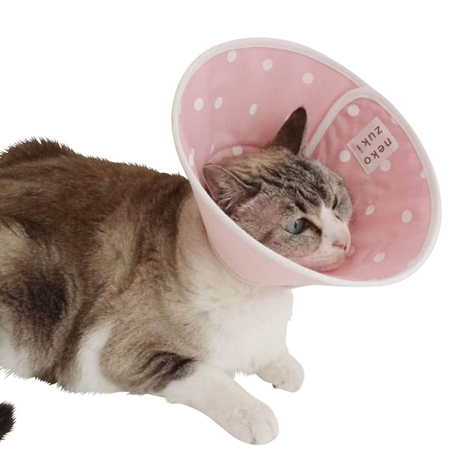 Amazon | nekozuki 猫 エリザベスカラー 獣医推薦 軽い 柔らかい