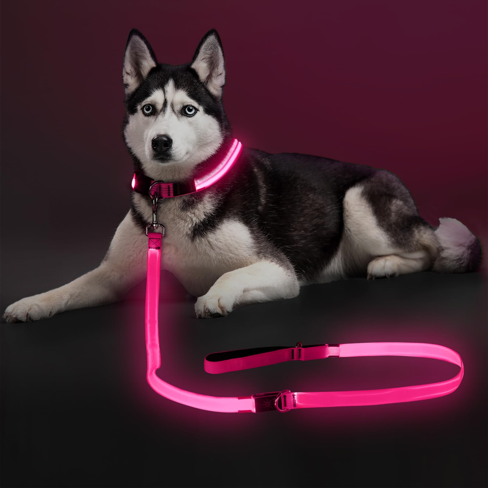 Colaseeme Light Up Dog Leash, LED Pet Leashes USB Rechargeable, Glow Safety Dogs Lights at Night (6FT,Pink)