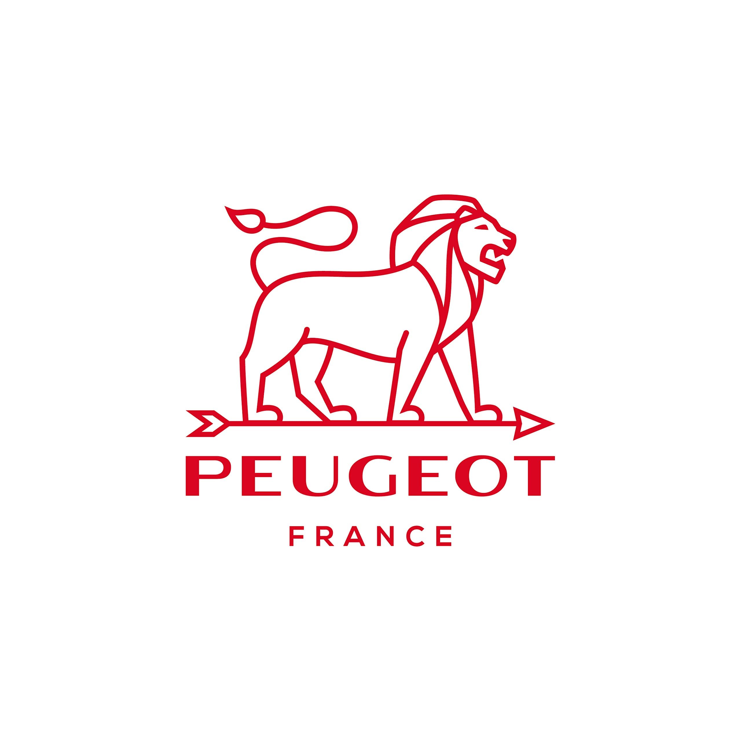 PEUGEOT - Salzmühle Paris 18 cm - Trockensalz - Klassische Mahlgradeinstellung - Aus PEFC-zertifiziertem Holz - französisches Know-how - Olivenholz