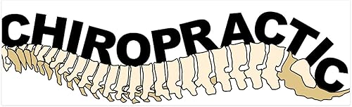 CafePress Chiropractic - Adhesivo de pared de vinilo reutilizable de 36 x 11 pulgadas, 42 x 14 pulgadas