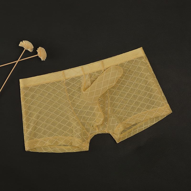 Men's Sheer Boxer Briefs See Through Breathable Mesh Lingerie Transparent Elephant Nose Trunk Sexy Thong Underwear2