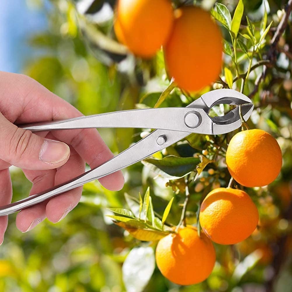 Zerodis Taglierina Bonsai, Forbici con Impugnatura ergonomica, Acciaio Inossidabile Resistente Usura e ruggine, Taglio concavo per Rami Piccoli Fiori Alberi da frutto Giardino