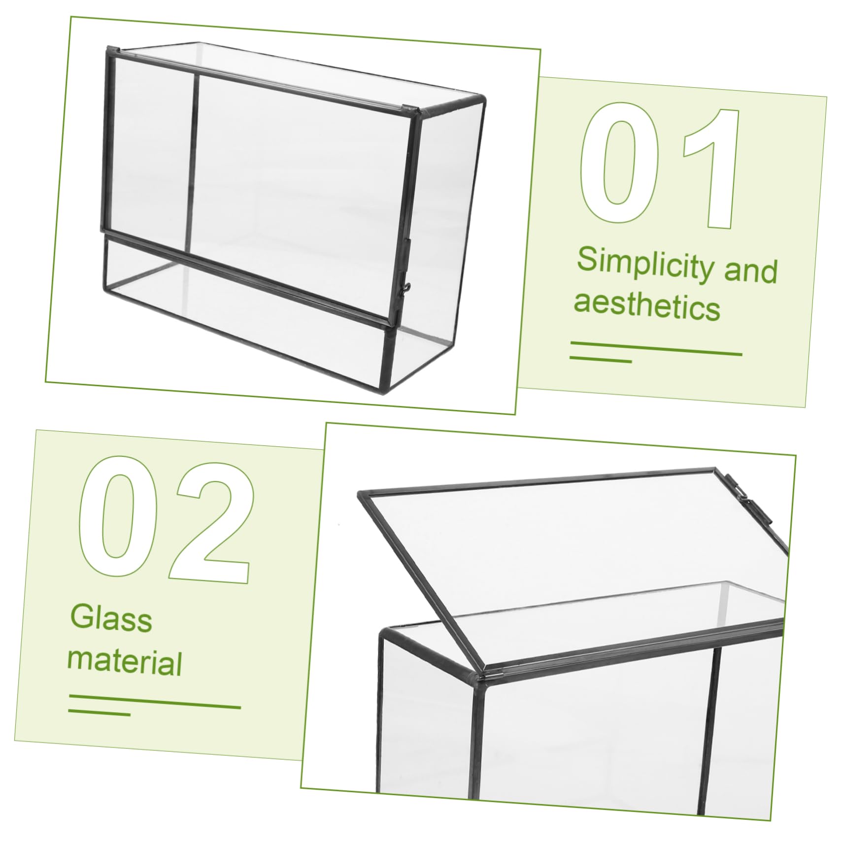 Terrario Pequeño Geométrico de Vidrio para Plantas | Recipiente Decorativo de Estaño, Cuerpo Transparente, Fácil de Limpiar, Adecuado para Musgo y Bricolaje