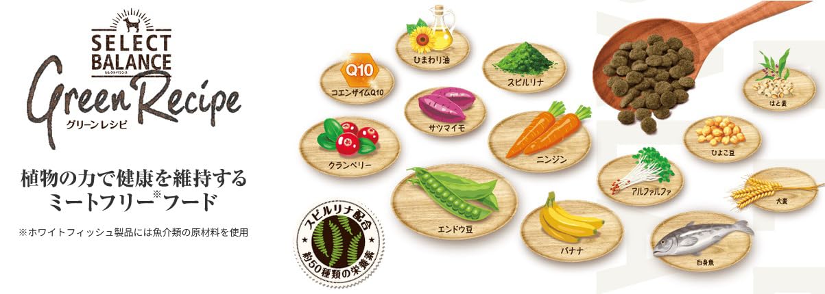 グリーンレシピヴィーガン2.4kg×2個 Amazon.co.jp: セレクトバランス グリーンレシピ ヴィーガン