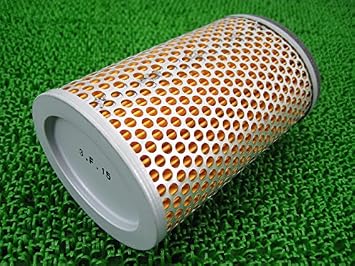 Triumph Air Filter T2201548
