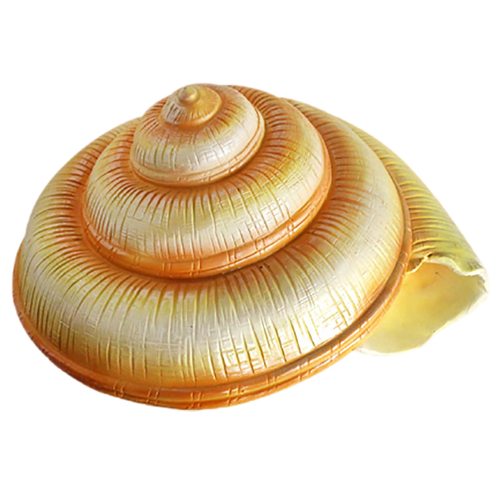 Decoración de Concha Resina y Fibra Vidrio | Decoración de conchas marinas de varios tamaños for bodas en la playa, acuario en casa(Medium)