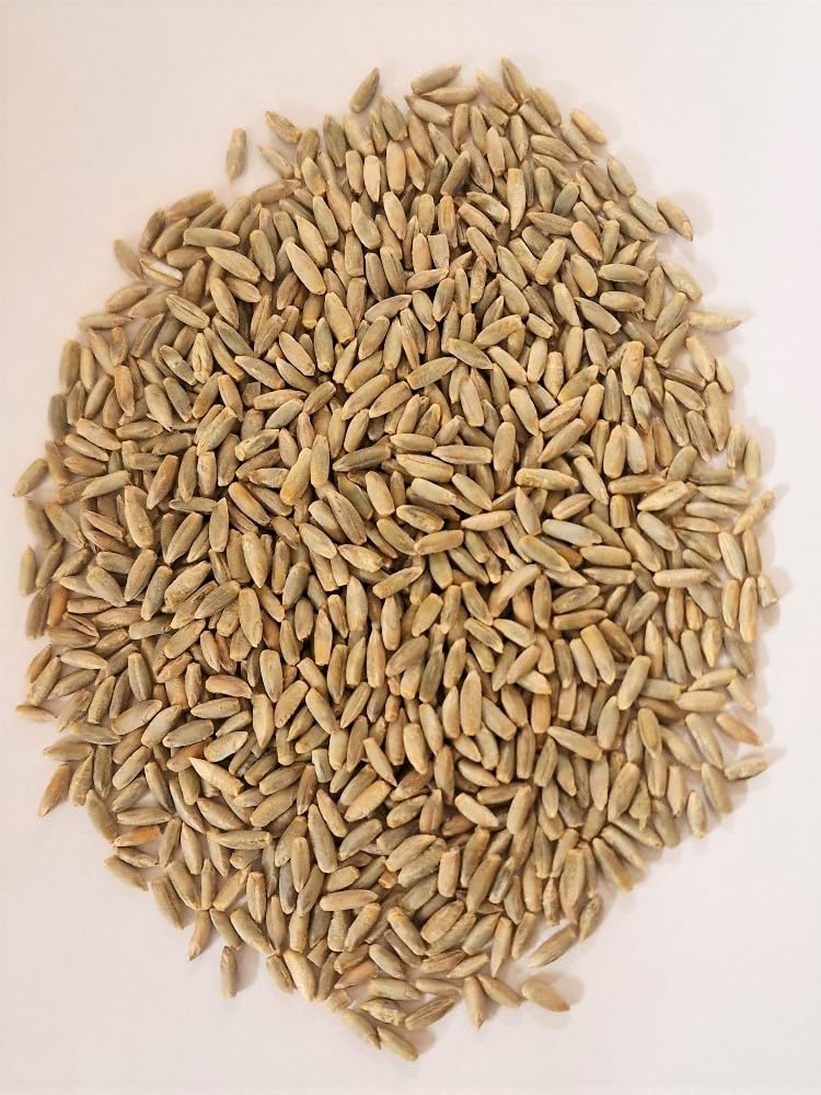 WIDU Bio Roggen 25 KG Getreidesack, ganze Back-Körner