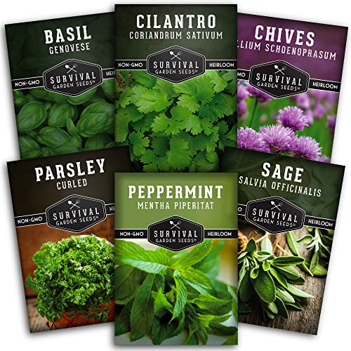 Hydroponics Herb Seed Collection For Planting - Curled Parsley, Sage, Chives, Peppermint, Cilantro & Genovese Basil Herbs For Any Indoor Gardening System- Non-Gmo Heirloom Survival Garden Seeds #TOP17
