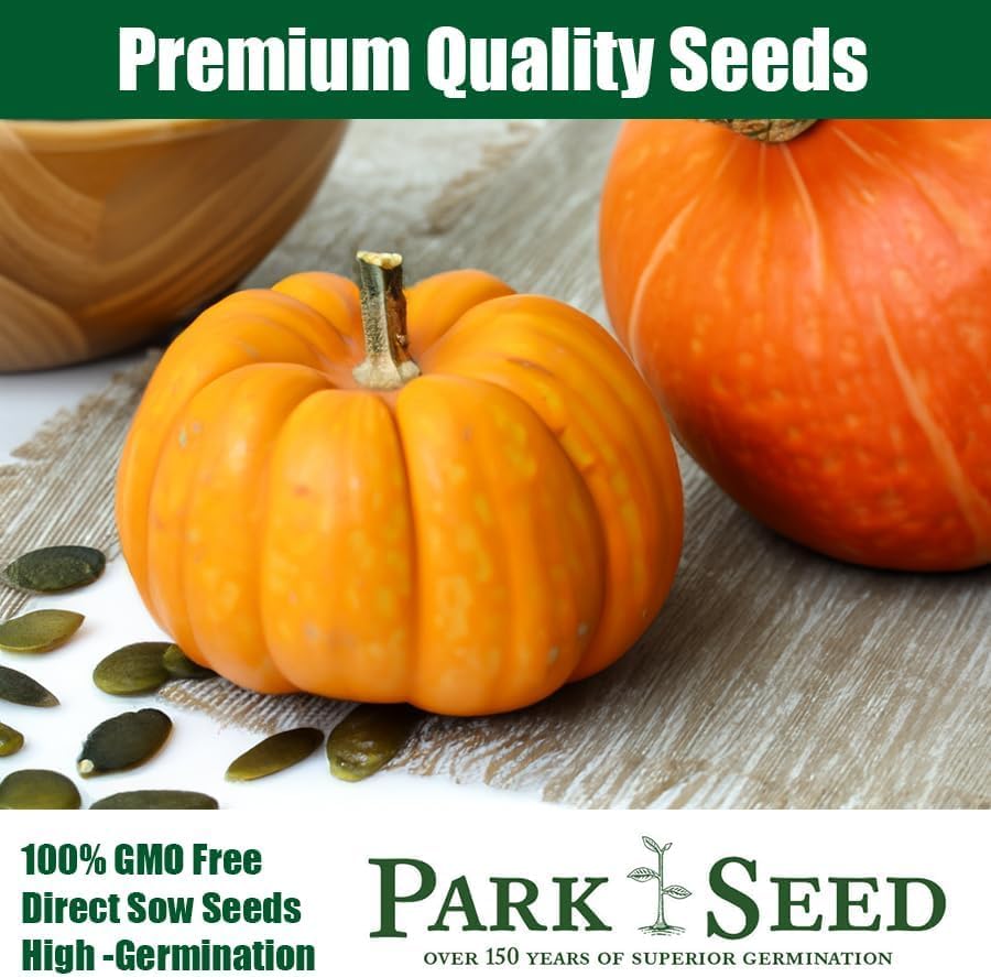 Miniatura 5 de Park Seed Jarrahdale - Semillas de calabaza  Calabazas para hornear azul y verde sin OMG de Nueva Zelanda, rica carne dulce para pasteles y