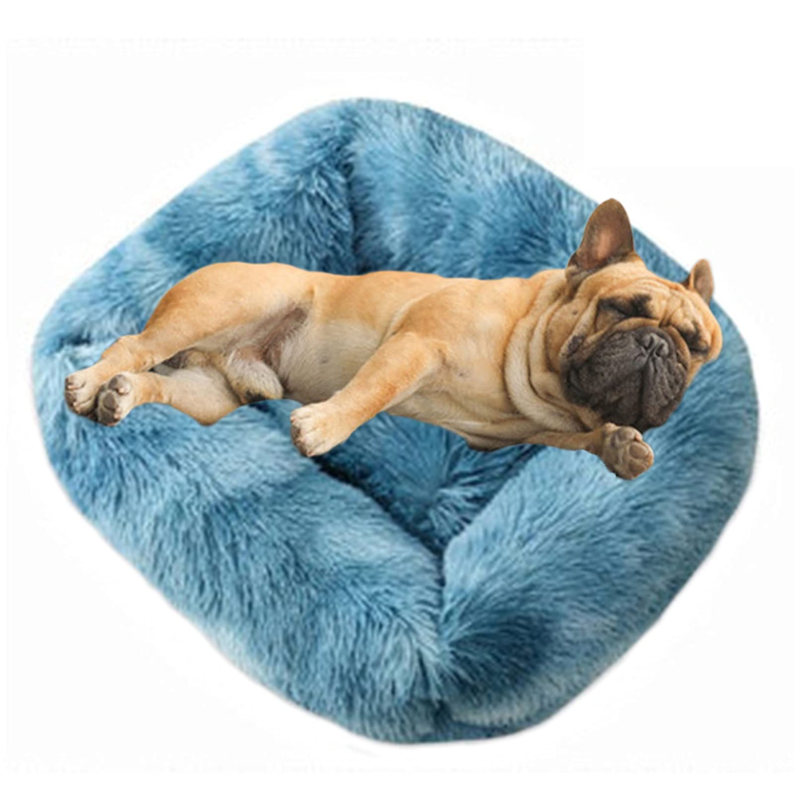 Lit apaisant pour grand chat ou chien de taille moyenne idéal dans un salon moderne bleu