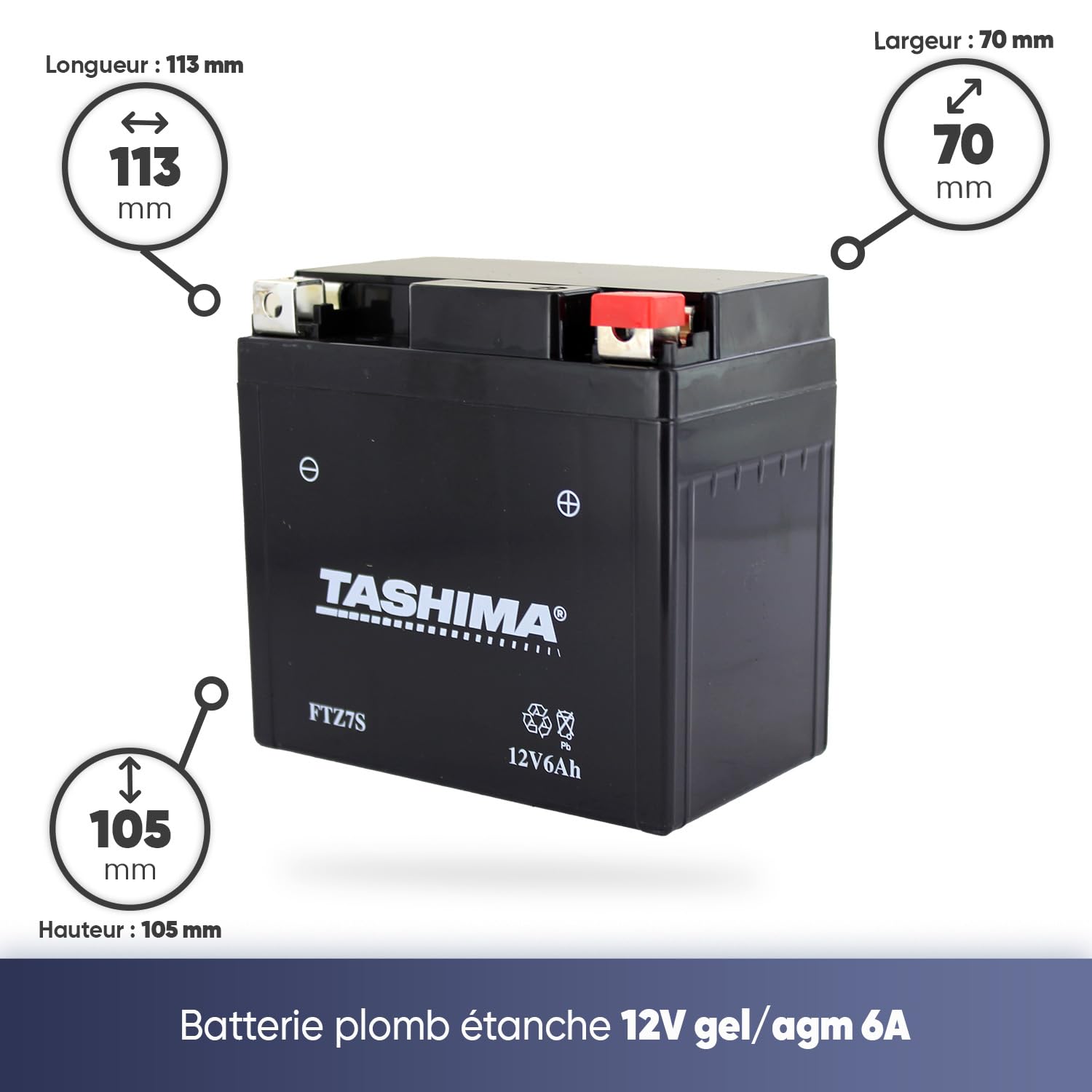 Greenstar Tashima - FTZ7S - Batterie Moto 12 V, lead acid agm, Pour Scooter ( L'emballage peut varier), Noir