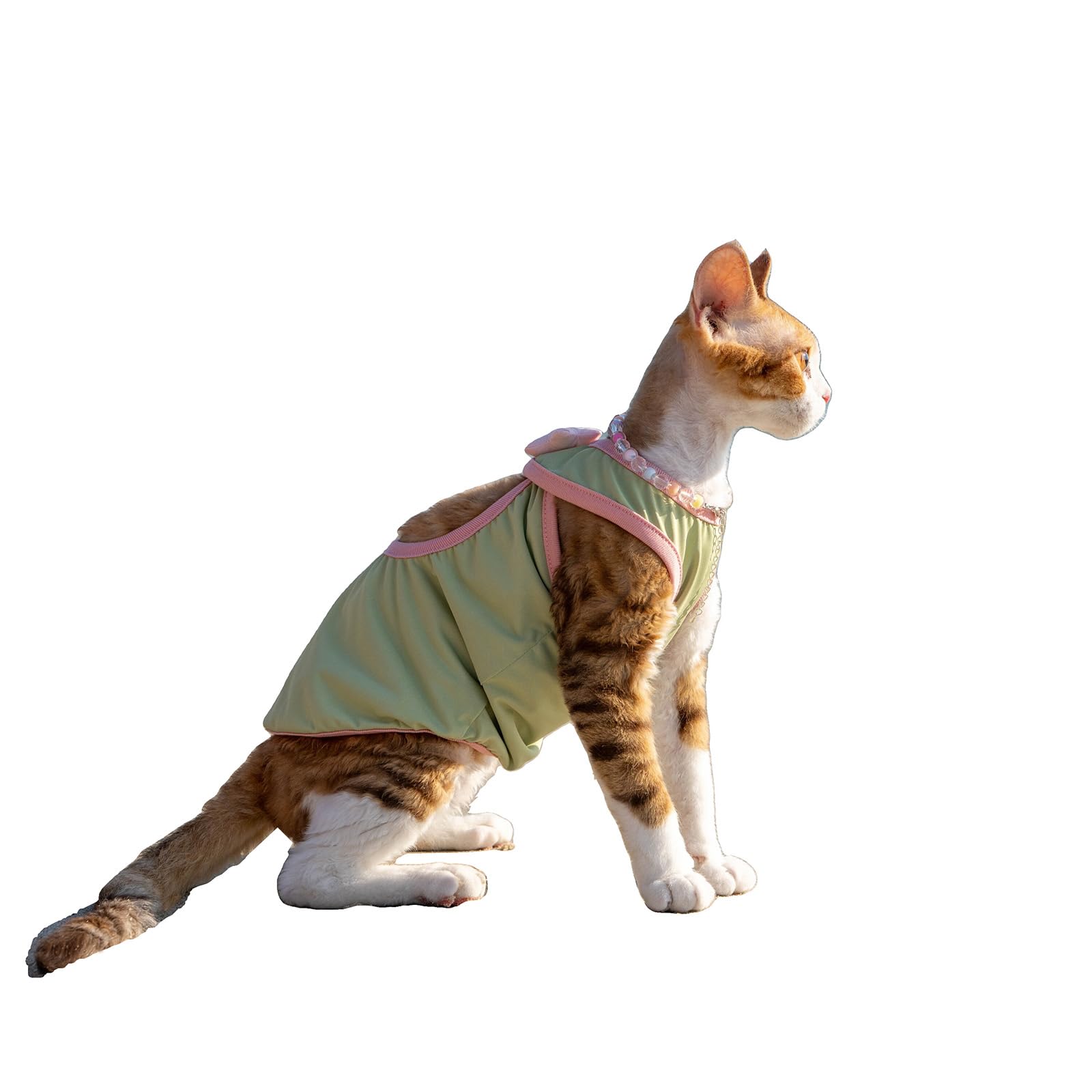 Robe en maille chat Sphynx vêtement été anti irritation épiderme