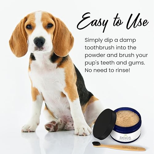 Miniatura 4 de Isabella's Clearly Dientes y encías para perros, pasta de dientes natural en polvo refresca el aliento, combate la placa, reduce el sarro  Sabrosa