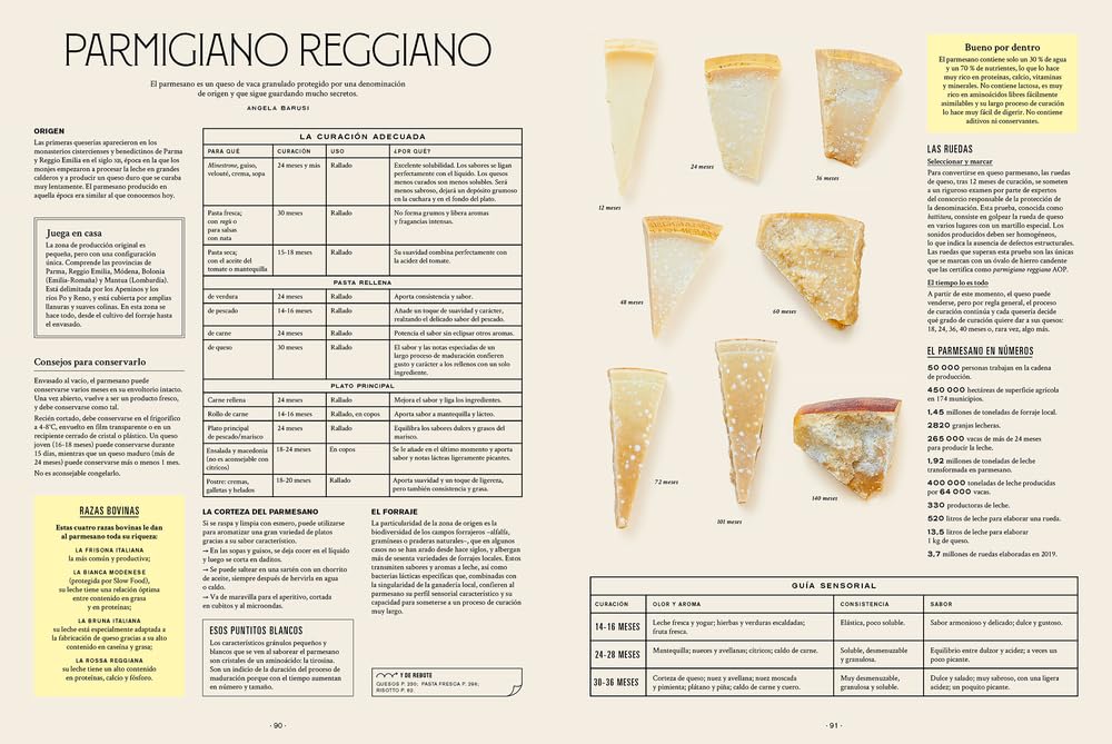 Sabores de Italia: Tutta la cucina italiana (GASTRONOMIA)