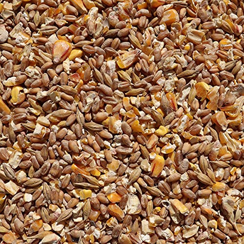 Eggersmann Körnerpick - Hühner Körnerfutter Basic 5 kg – Bild 3