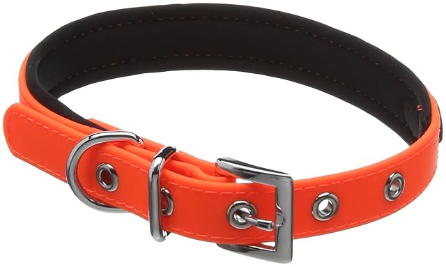 Foto 2 de 2 de Nobby, Collar de Perro, 40 - 50 cm/25 mm, Naranja neón