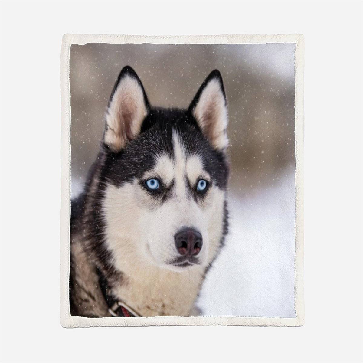 Plaid Couverture Polaire Chien Husky 3D Hiver, Chiens De Traîneau Douce Chaude Microfibre ete Hiver Couverture en Flanelle 150x200 pour Jeté de Canapé, Dessus de lit pour Enfant Fille Garcon