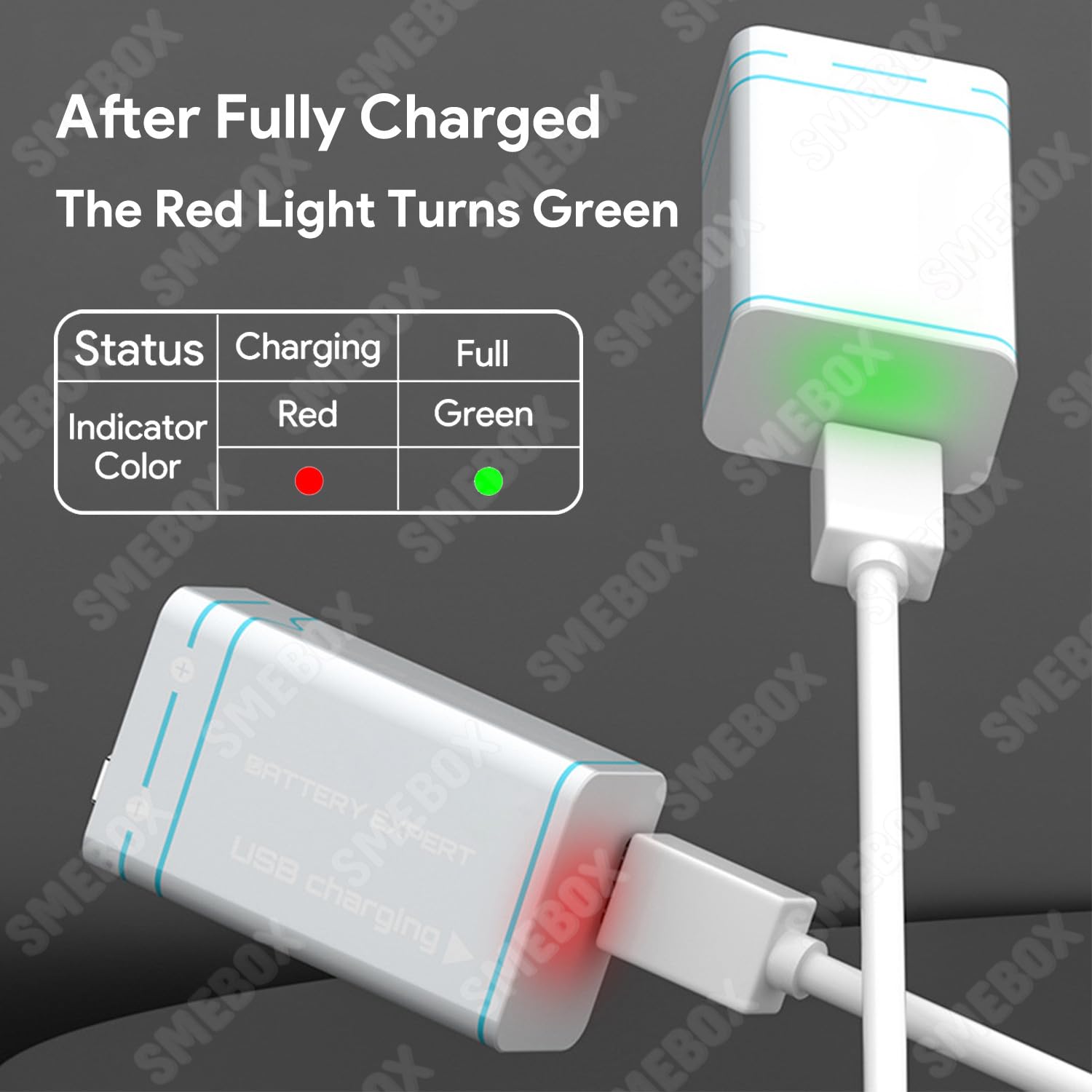 Batterie Ricaricabili da 9V a Tensione Costante Alta Capacità 1000mAh Ricarica USB Type-C Batteria 6F22 6LR61 PP3 per Rilevatori Fumo, Multimetro, Telecomando, Walkie-Talkie (8 pezzi)
