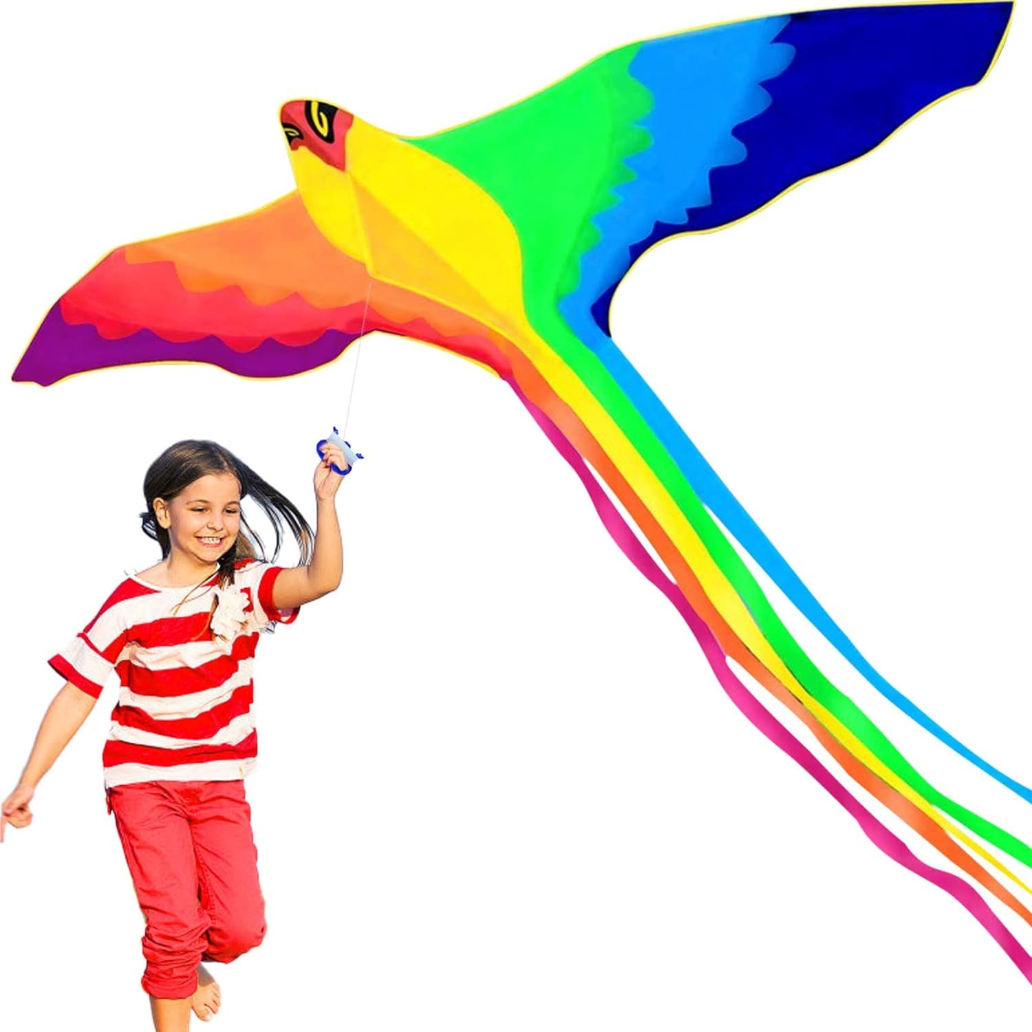 HENGDA KITE Phoenix Kite,for Kids and Adults,Easy to Fly,Excellent Fabric and Structure Design,The Pictures are Beautiful in high Definition,Suitable for Beginners(59x23) in.
