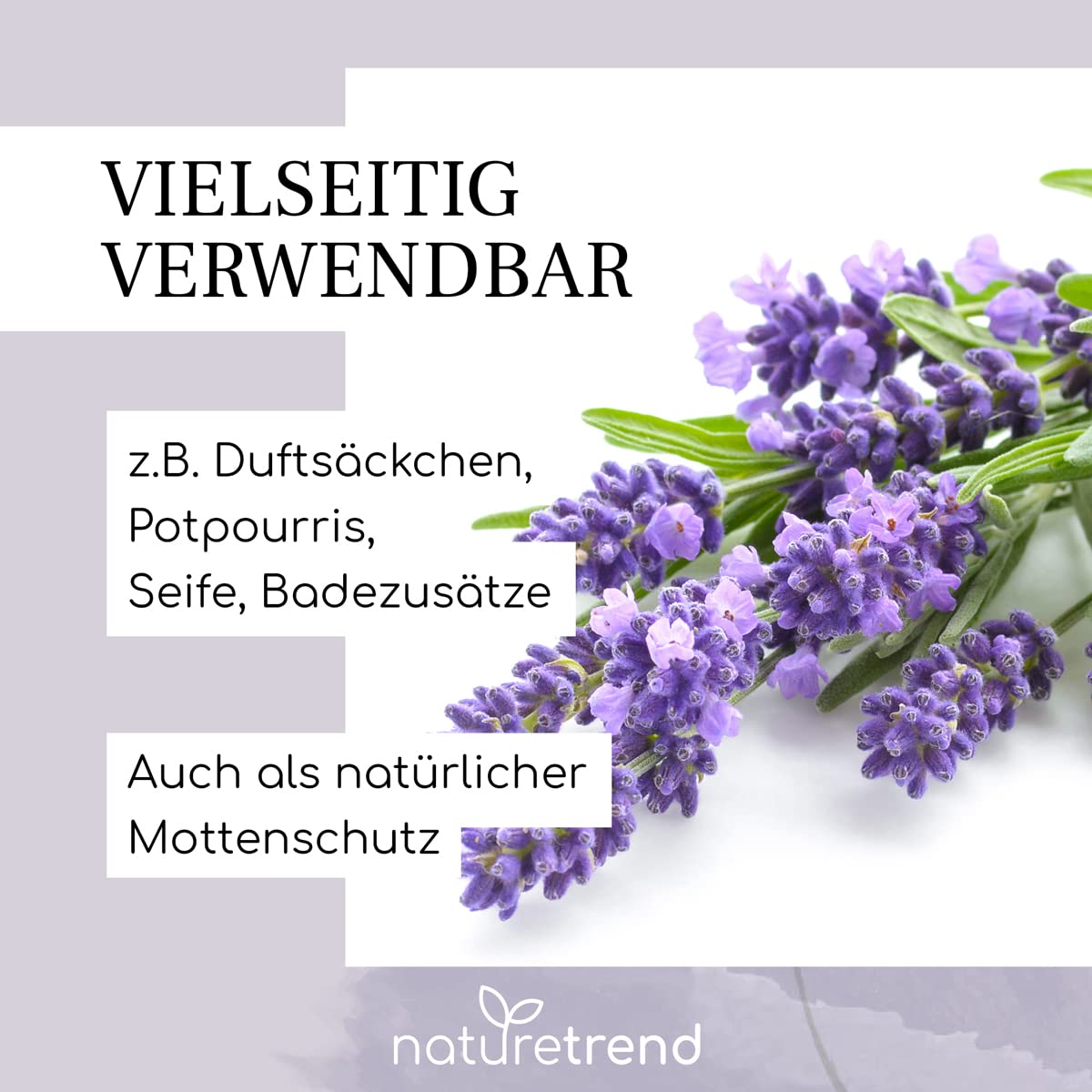 naturetrend Fiori di lavanda essiccati, 1 kg – lavanda francese della Provenza, nuovo raccolto, profumo intenso e bluastro, per cuscini profumati, profumo potpourri