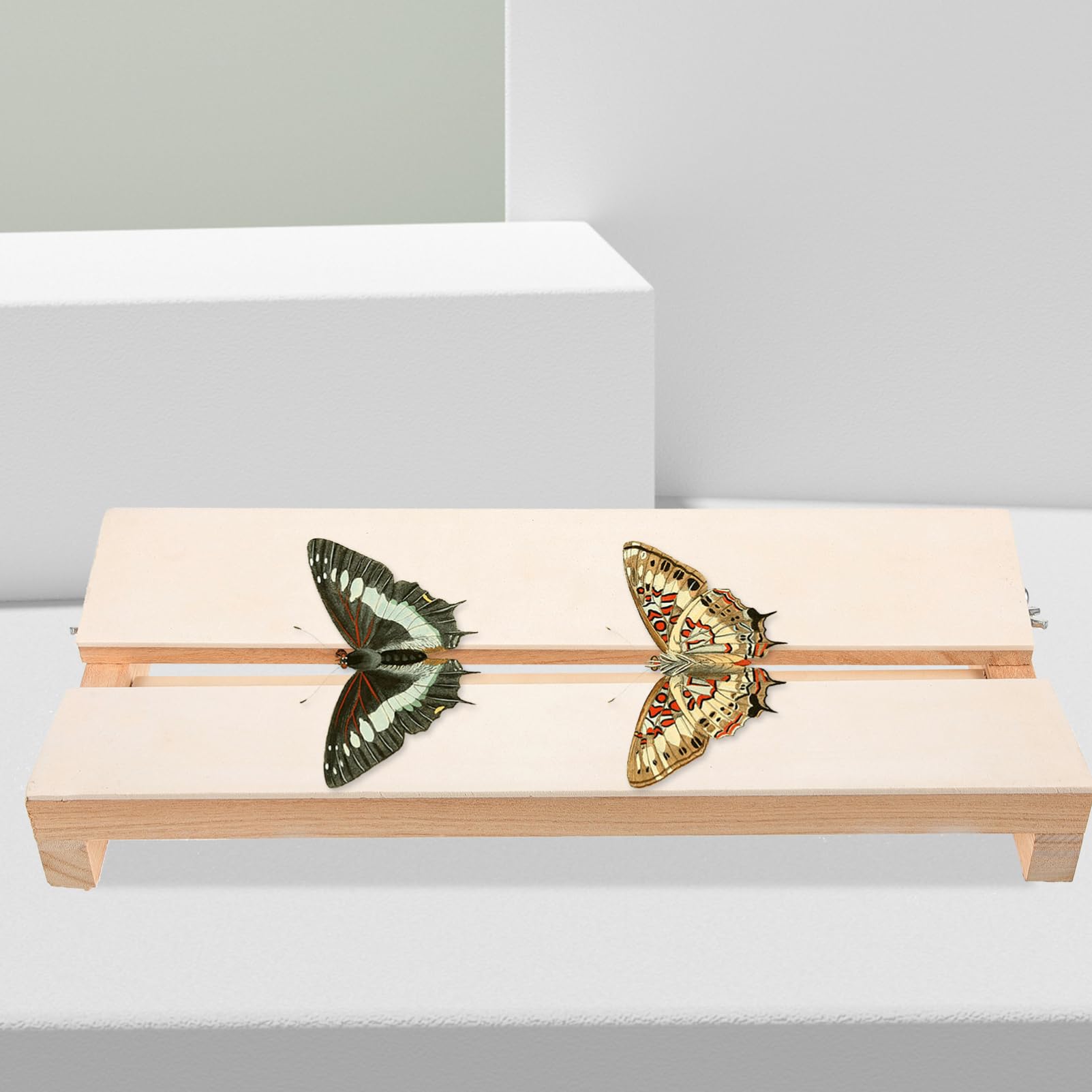 HOLIDYOYO Butterfly Wings Butterflys Small Display Case Specimen Mounting Board Boards Butterflies Wing Board Making Insect Specimen Tools Kit Butterflies Spreading Board Experimental Wooden
