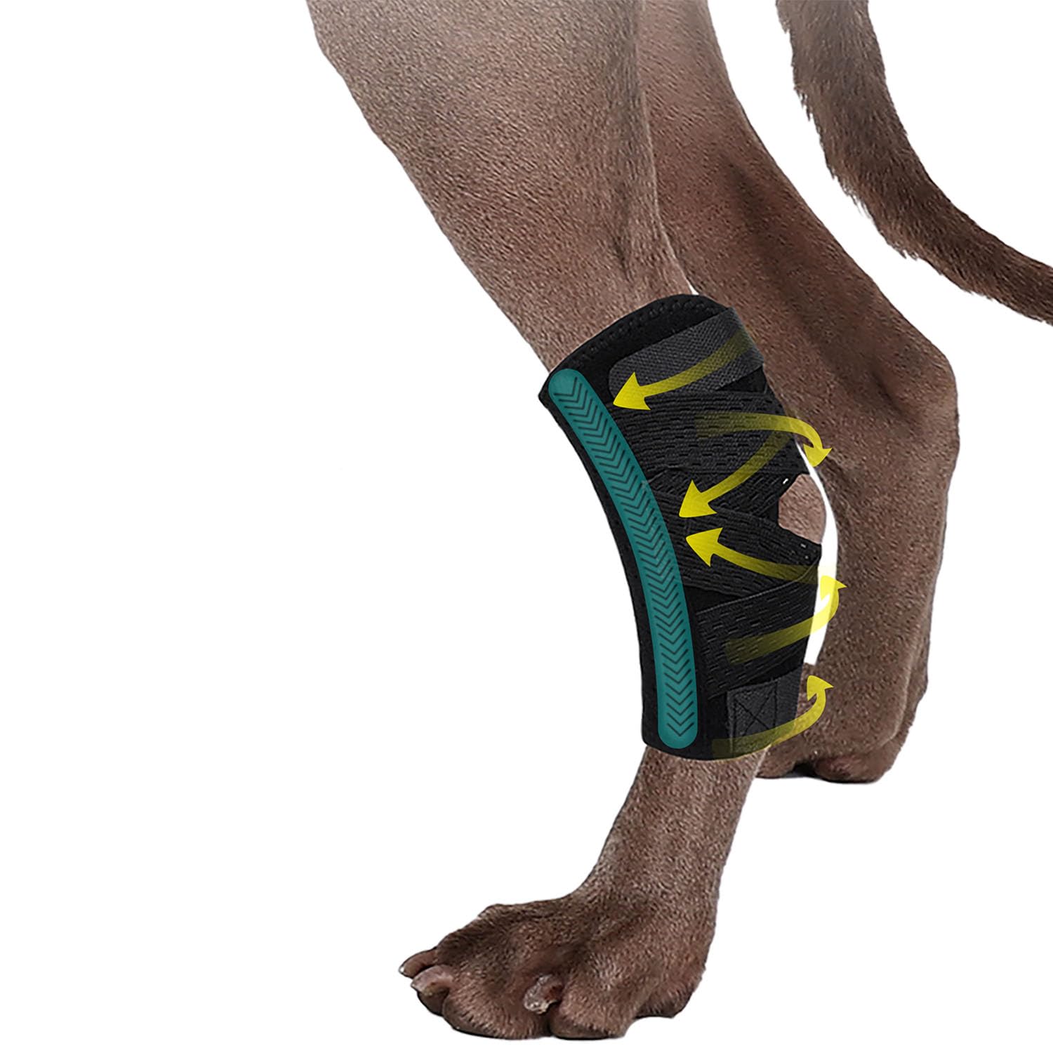 MeiAOBest Dog Leg Braces for Rear Leg Dog Hock Joint Brace with Two Metal Spring Inserts, Dog Hock Splint with Fractures