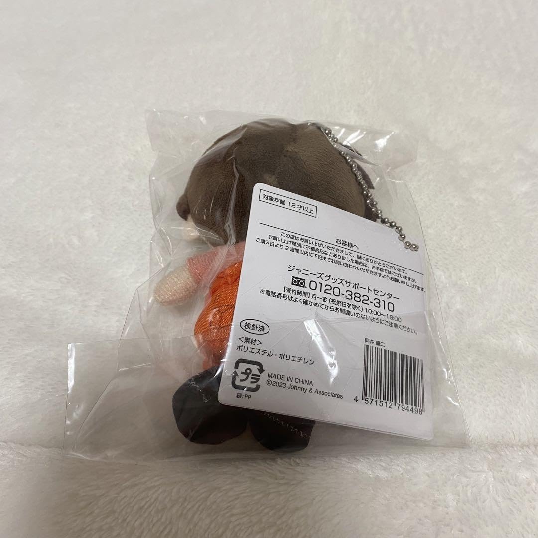 Amazon.co.jp: Snow Man 向井康二 すのチル ぬいぐるみ : おもちゃ