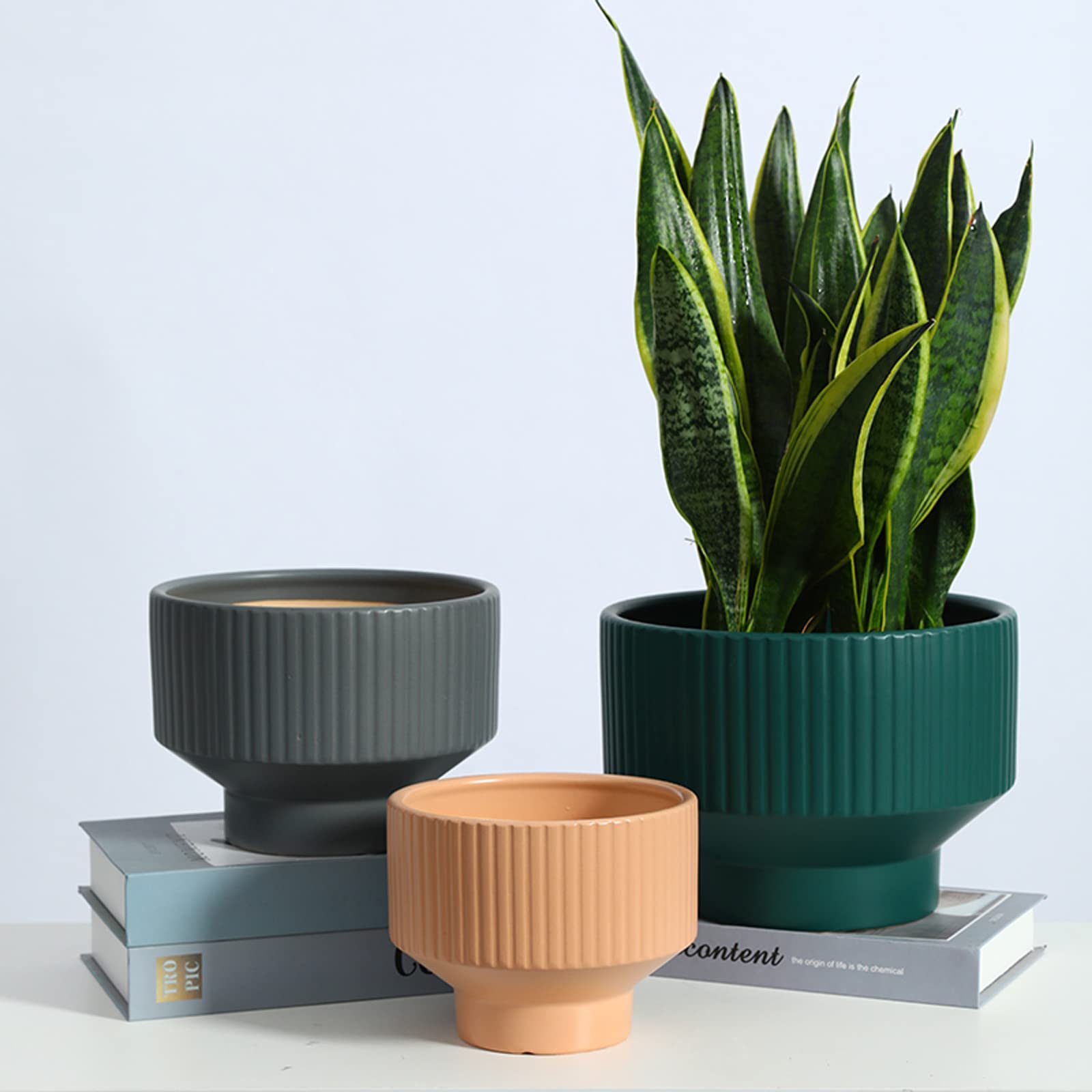 Vasi da Giardino Vaso per fioriere succulente in Ceramica con Foro di drenaggio e piattino in plastica, Moderno Vaso da Giardinaggio a Strisce Verticali per la casa