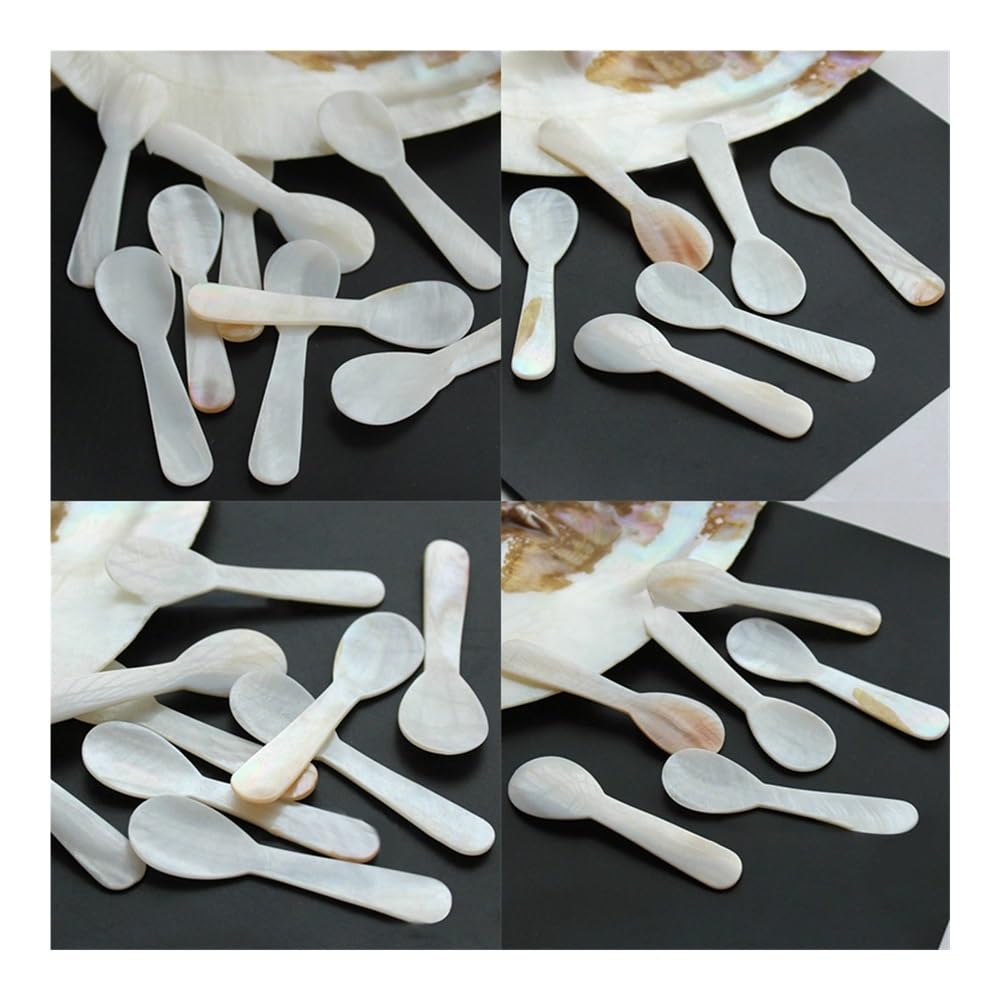 Lot de 8 cuillères à café en coquille de conque naturelle de 7,2 cm - Cuillère à café en nacre - Coquillages