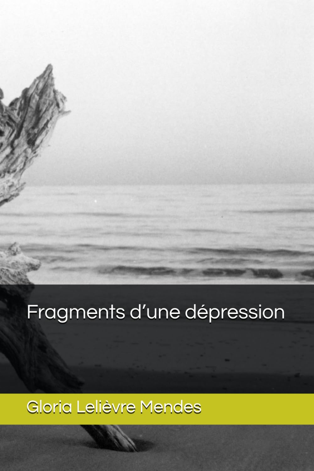 Fragments d’une dépression