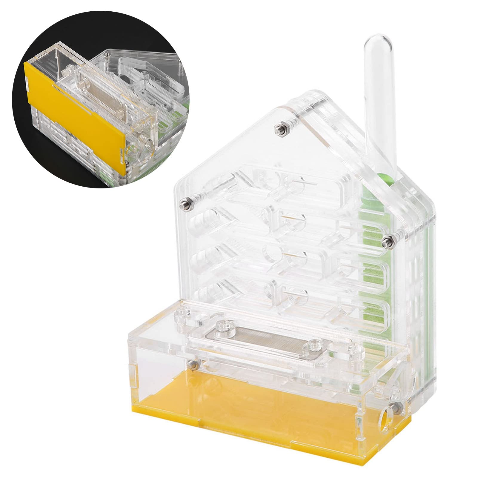 Formicarium Nourriture pour Fourmis 12×11×8 Acrylic Farm The Farm is Alive