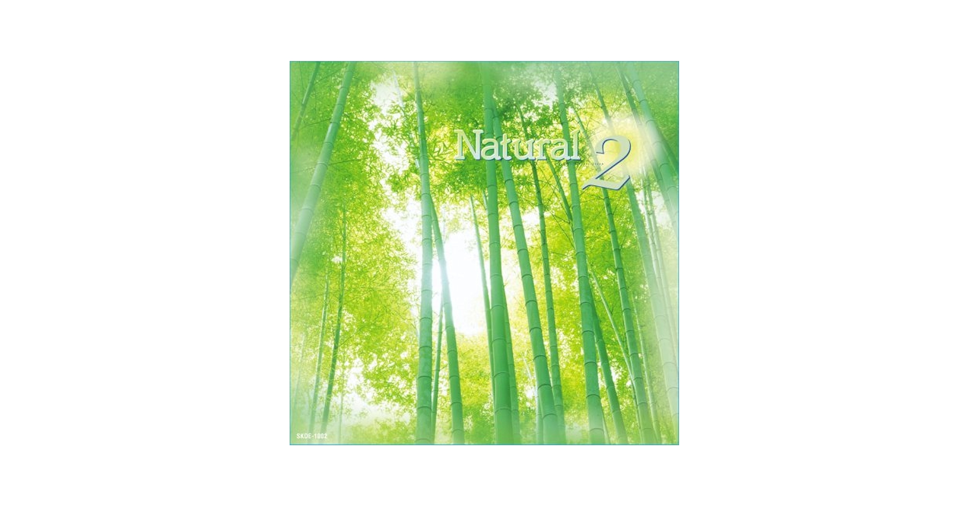 euida様 ナチュラル×2 Amazon.com | Naturalizer Women's Ida2 Slide Sandal, Black