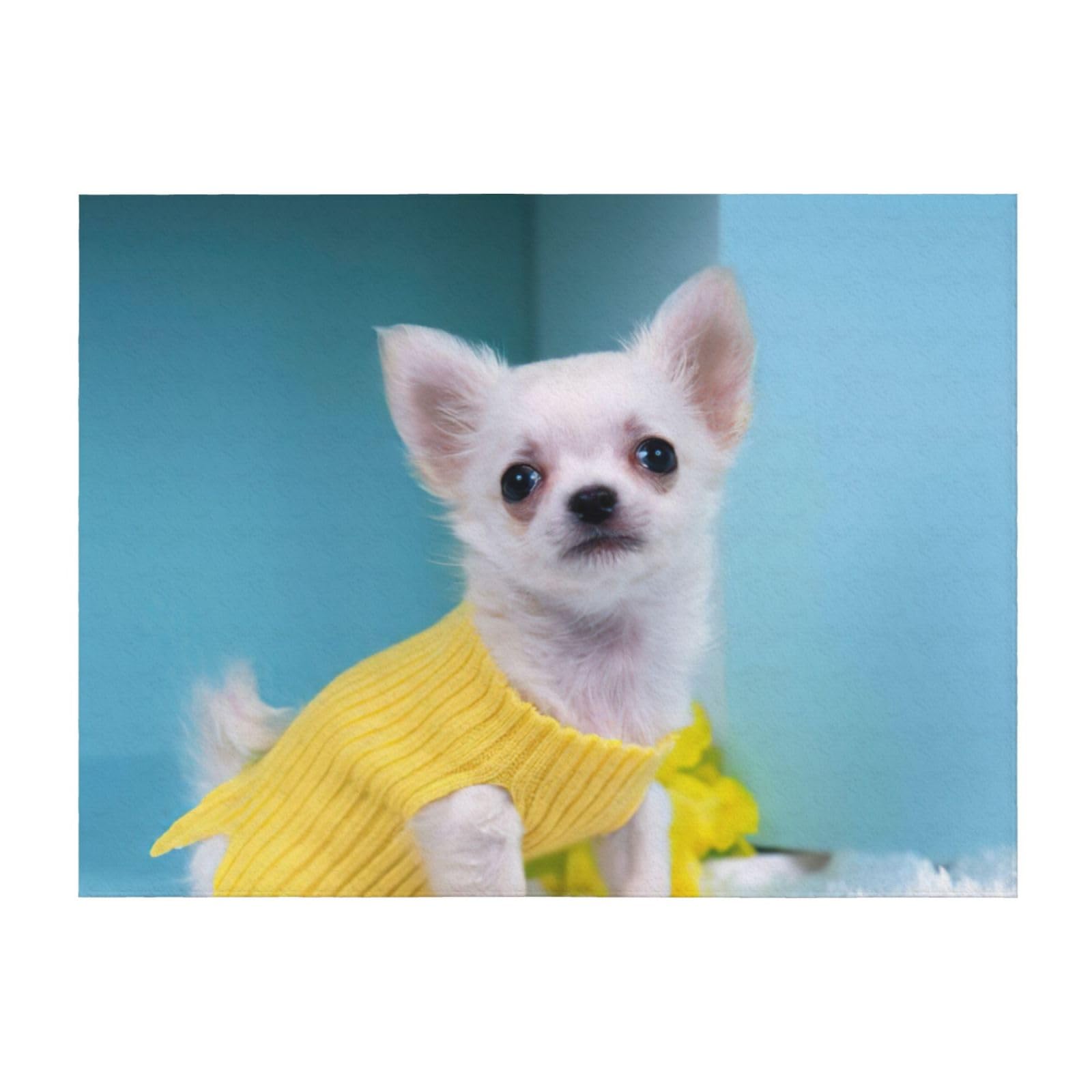 Couverture microfibre chihuahua EdWal légère et confortable pour lit